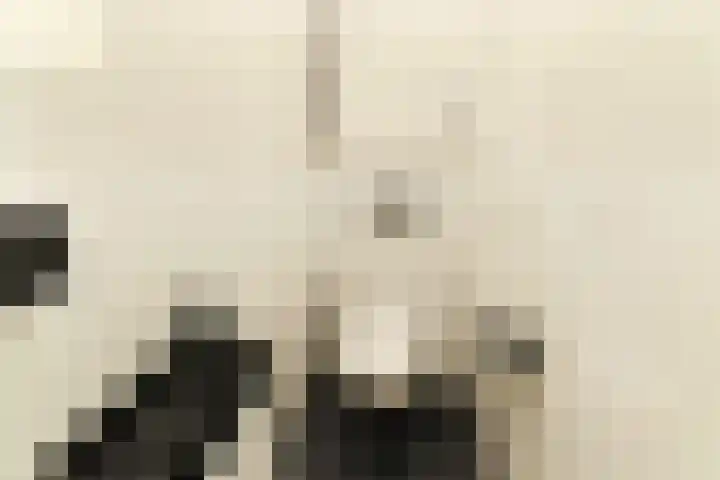 Kapelleboom 32 Doorwerth thumbnail 31