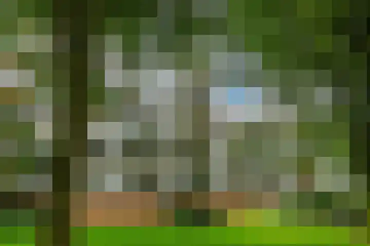 Kapelleboom 32 Doorwerth thumbnail 32