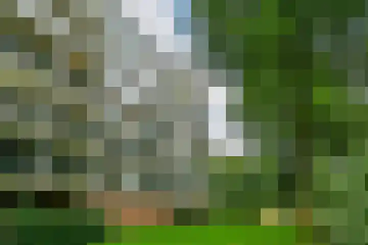Kapelleboom 32 Doorwerth thumbnail 33