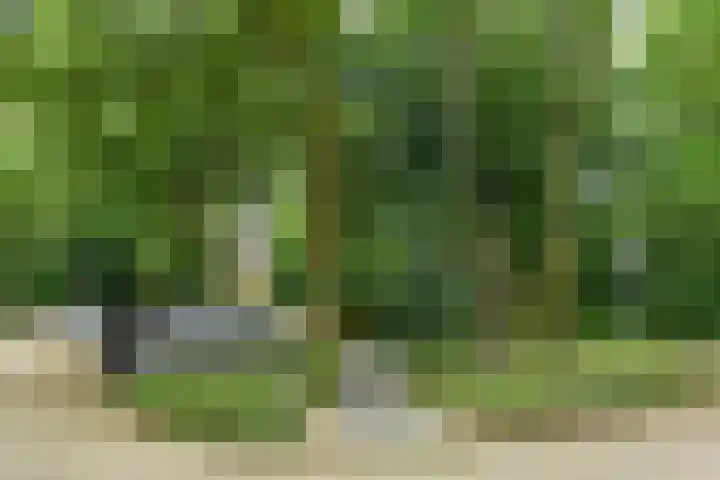 Kapelleboom 32 Doorwerth thumbnail 34