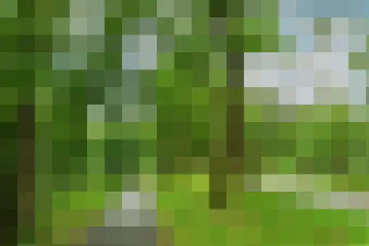 Kapelleboom 32 Doorwerth thumbnail 35