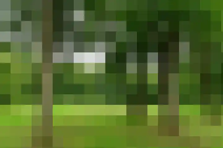 Kapelleboom 32 Doorwerth thumbnail 36