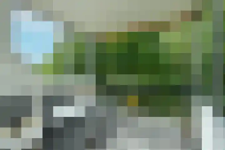 Kapelleboom 32 Doorwerth thumbnail 4
