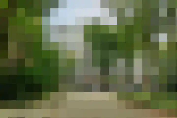 Kapelleboom 32 Doorwerth thumbnail 5