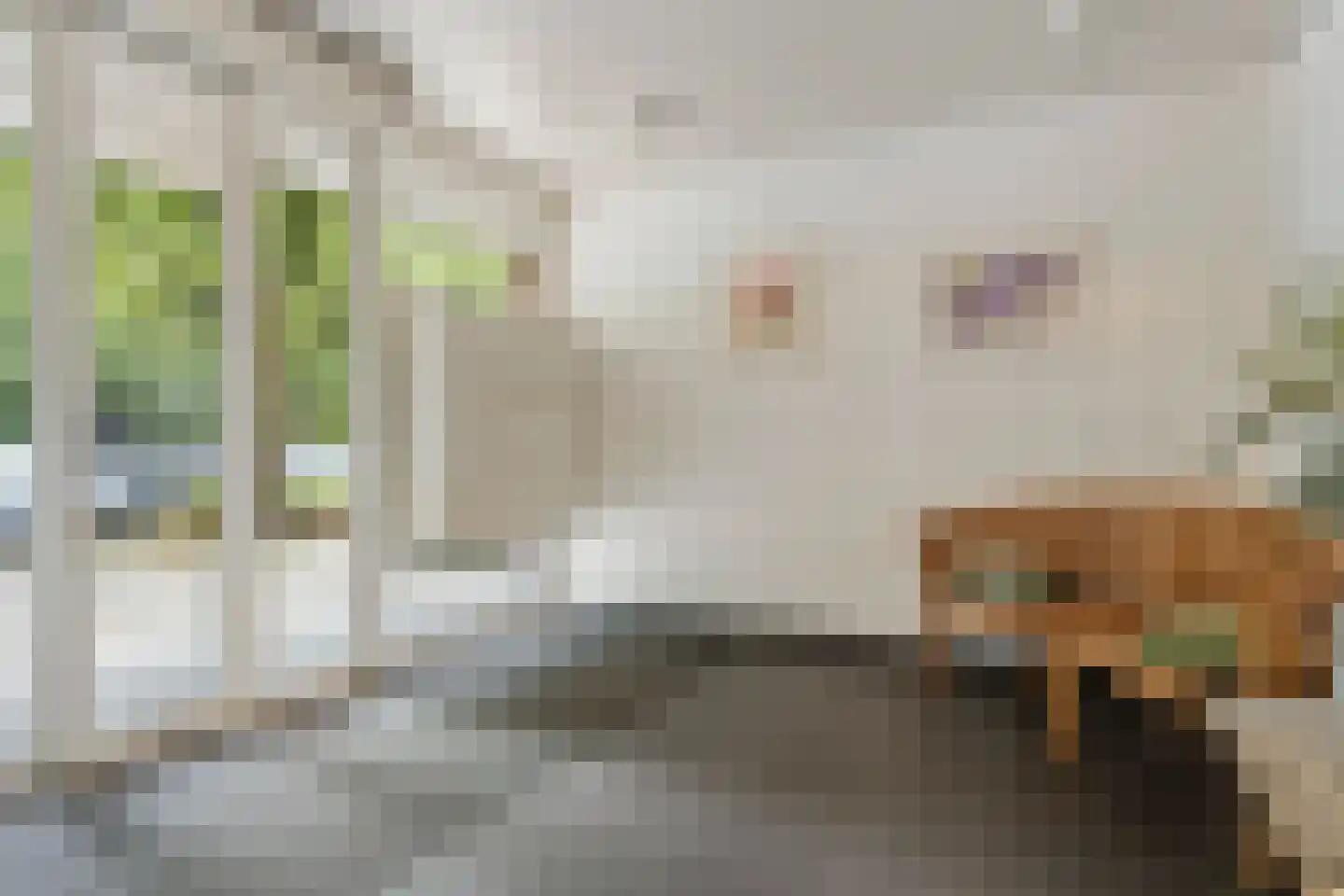 Kapelleboom 66 Doorwerth thumbnail 12