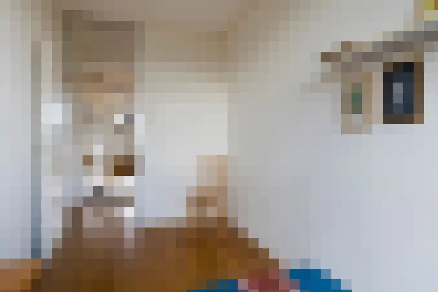Kapelleboom 66 Doorwerth thumbnail 36