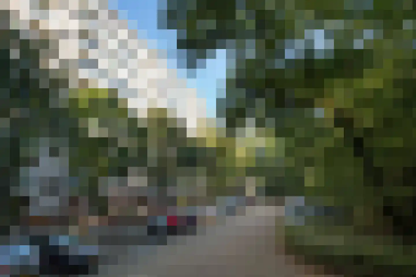 Kapelleboom 66 Doorwerth thumbnail 41