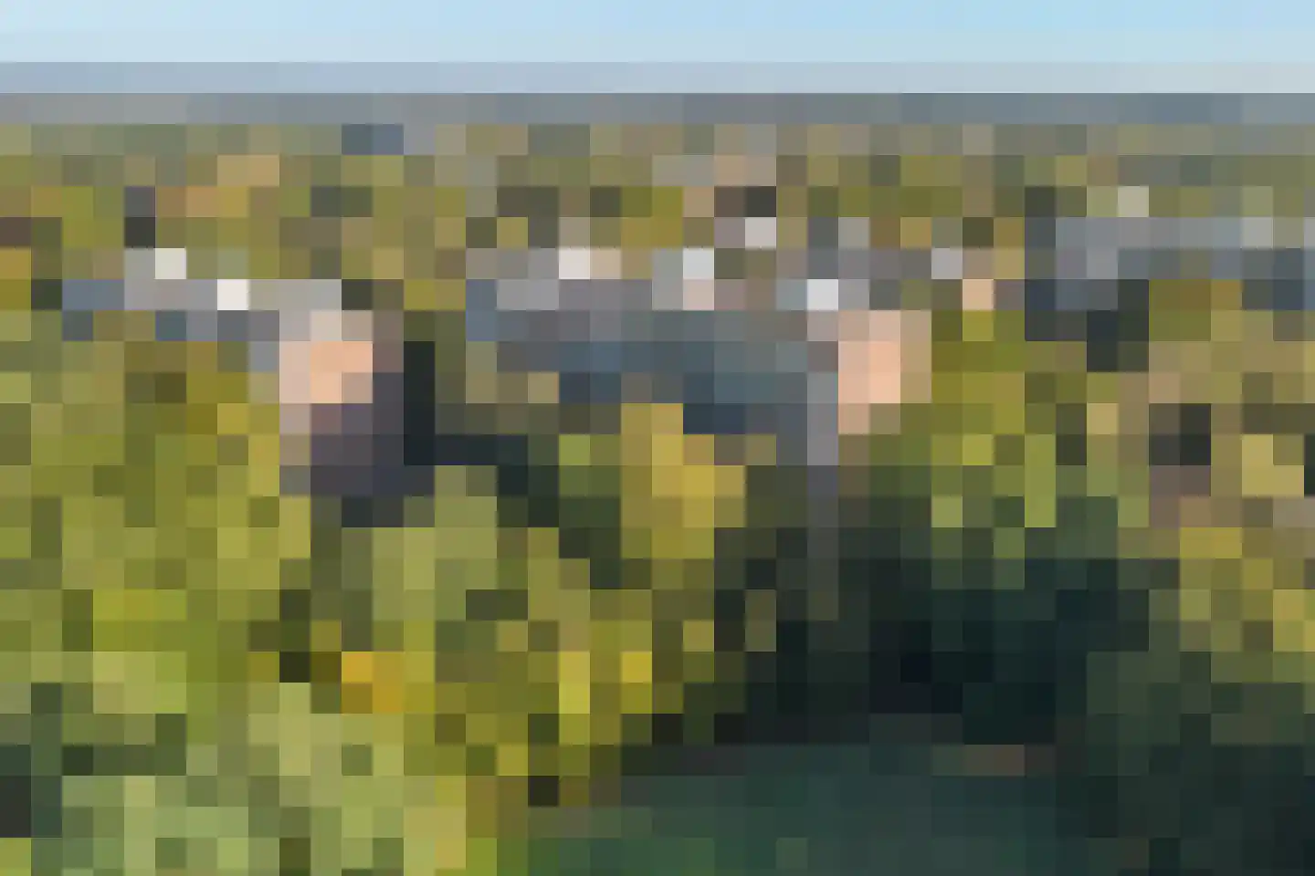 Kapelleboom 66 Doorwerth thumbnail 42