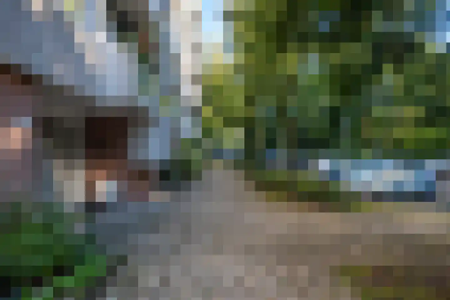 Kapelleboom 66 Doorwerth thumbnail 44