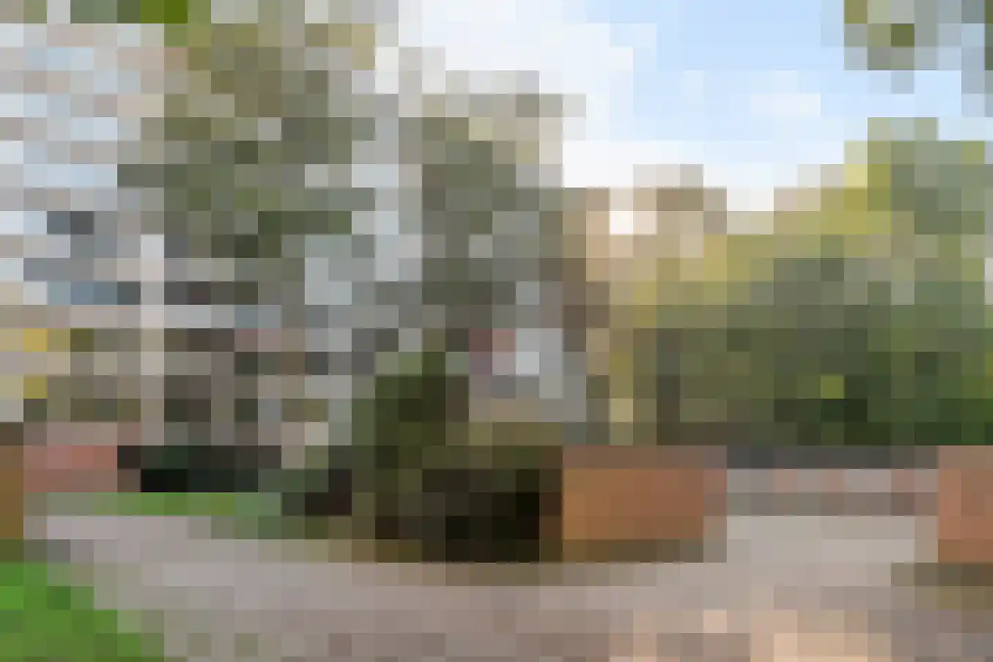 Kapelleboom 66 Doorwerth thumbnail 46