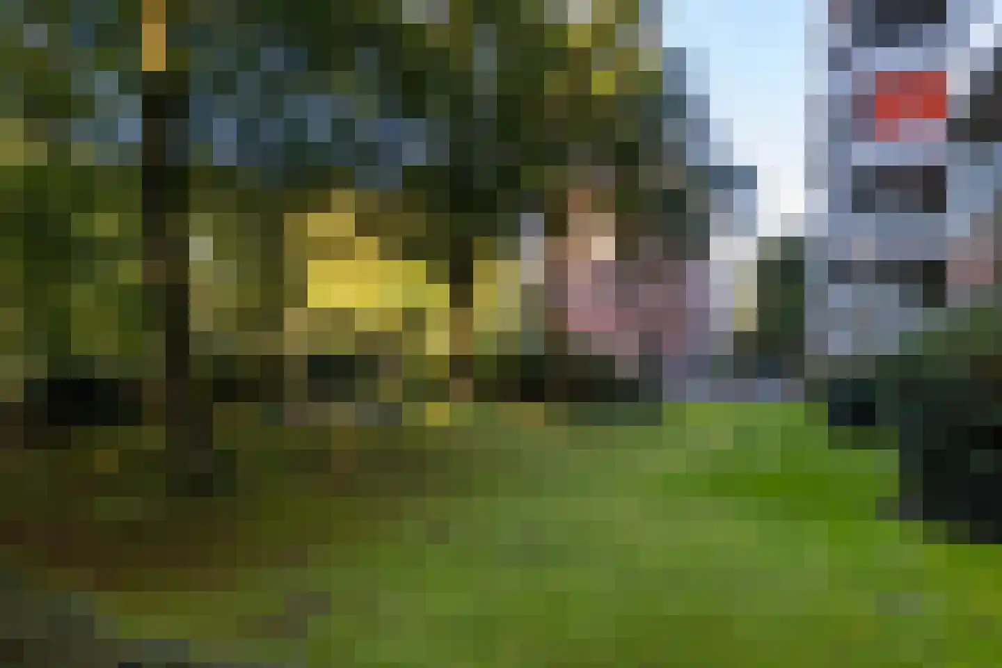 Kapelleboom 66 Doorwerth thumbnail 49
