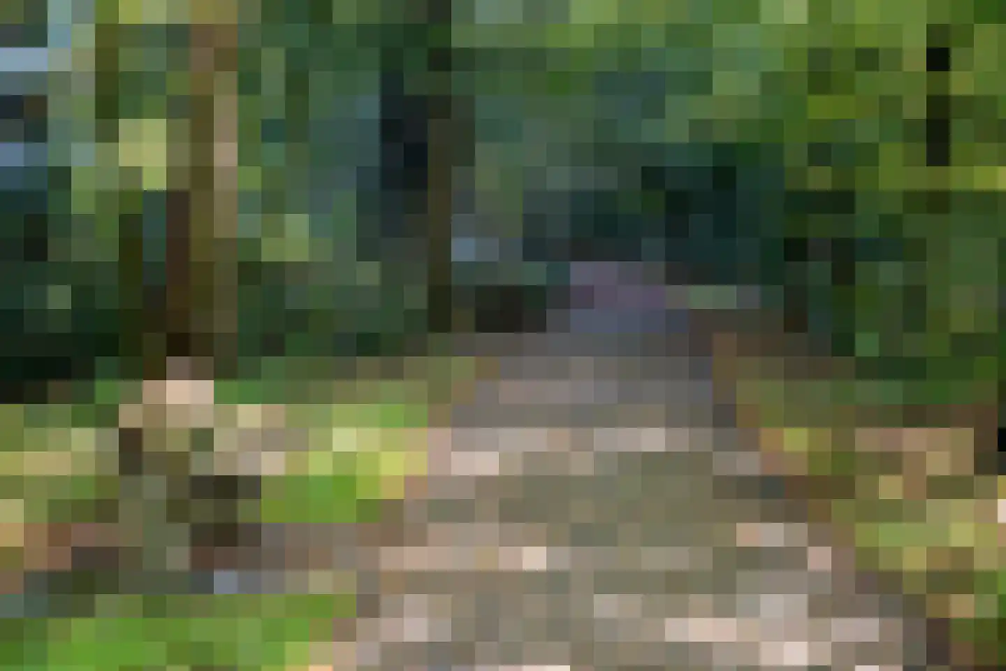 Kapelleboom 66 Doorwerth thumbnail 51