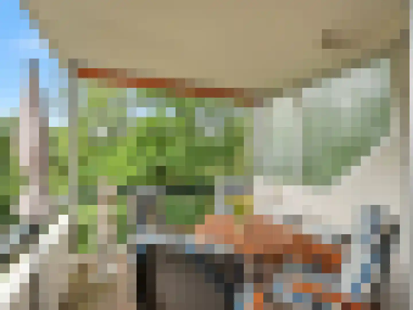 Kapelleboom 7 Doorwerth thumbnail 14