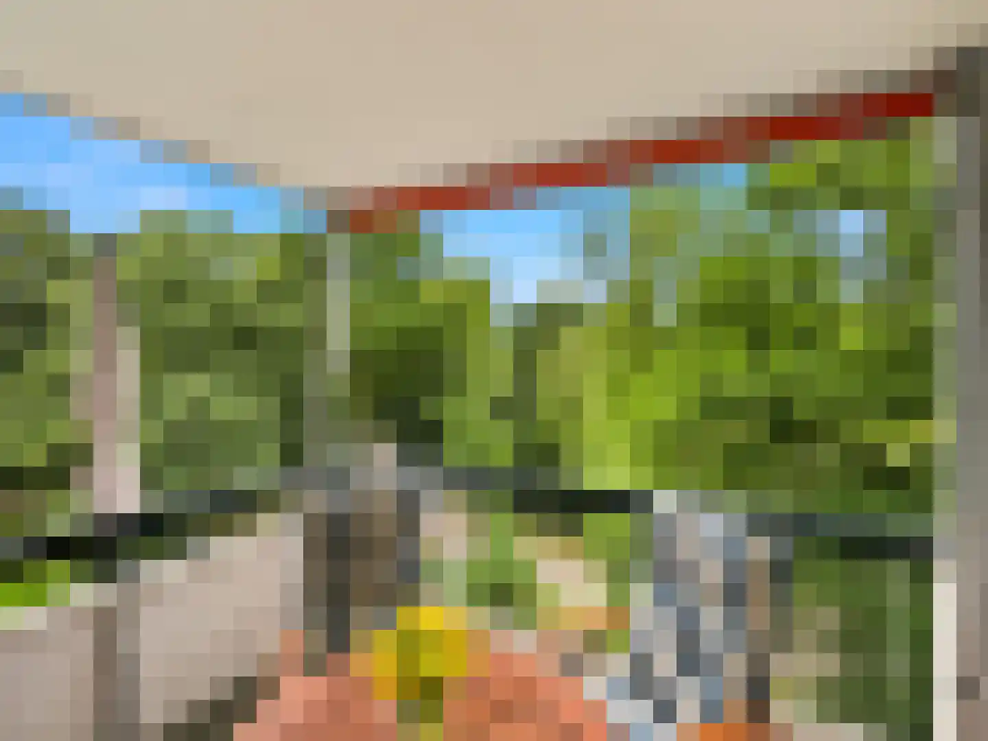 Kapelleboom 7 Doorwerth thumbnail 15