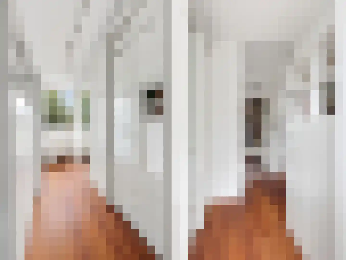Kapelleboom 7 Doorwerth thumbnail 24