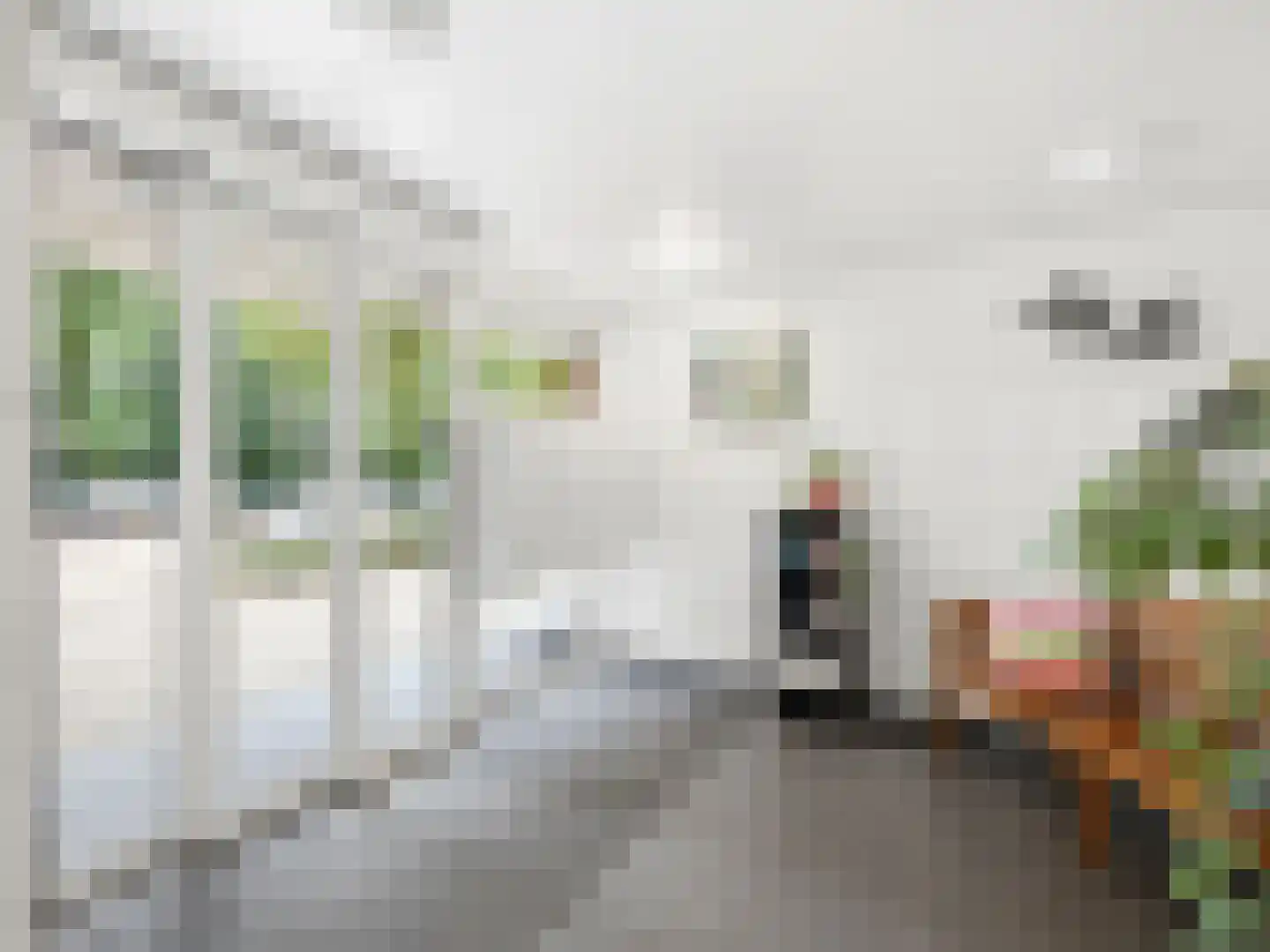 Kapelleboom 7 Doorwerth thumbnail 27