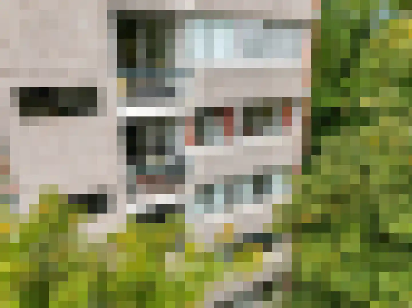 Kapelleboom 7 Doorwerth thumbnail 30