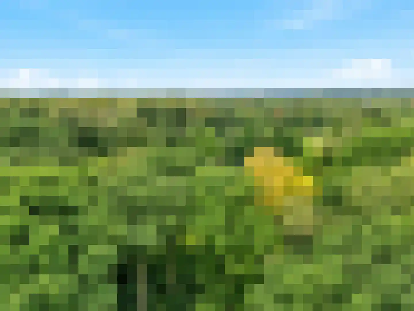 Kapelleboom 7 Doorwerth thumbnail 31