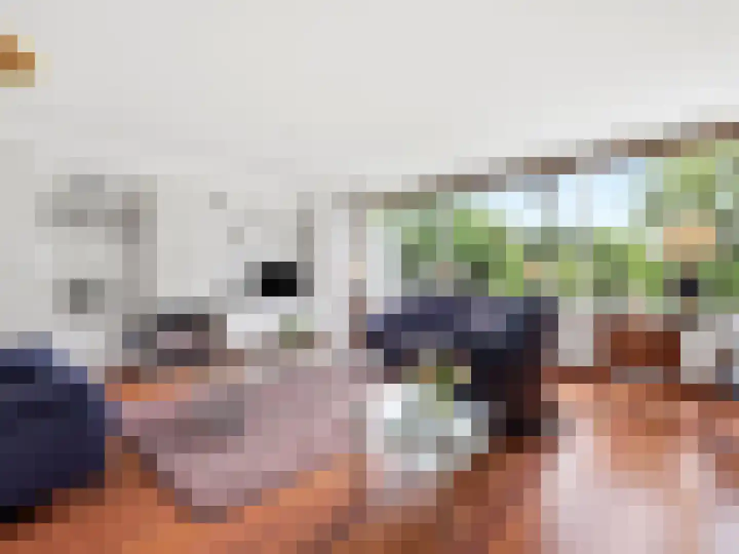 Kapelleboom 7 Doorwerth thumbnail 6