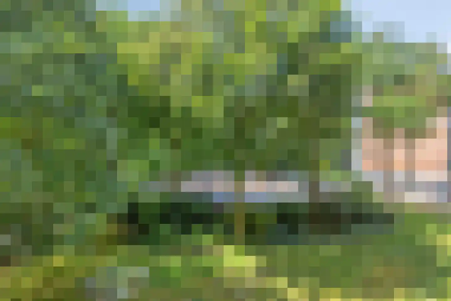 Kapelleboom 72 Doorwerth thumbnail 12