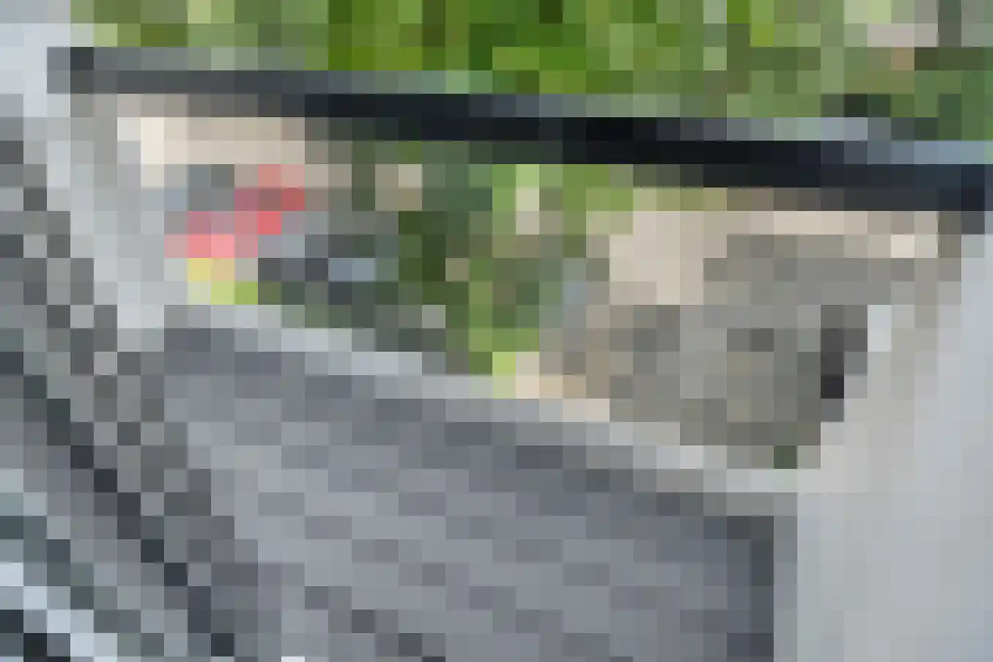 Kapelleboom 72 Doorwerth thumbnail 16