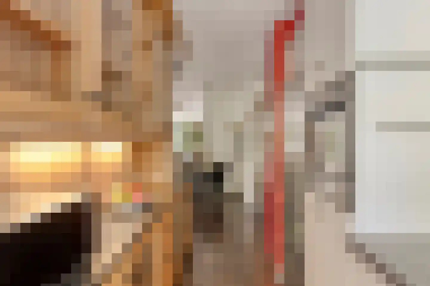 Kapelleboom 72 Doorwerth thumbnail 17