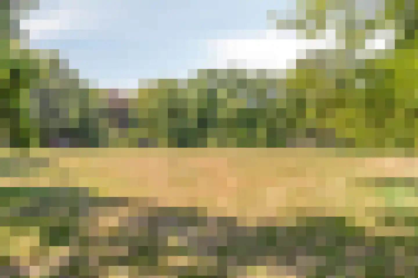 Kapelleboom 72 Doorwerth thumbnail 18