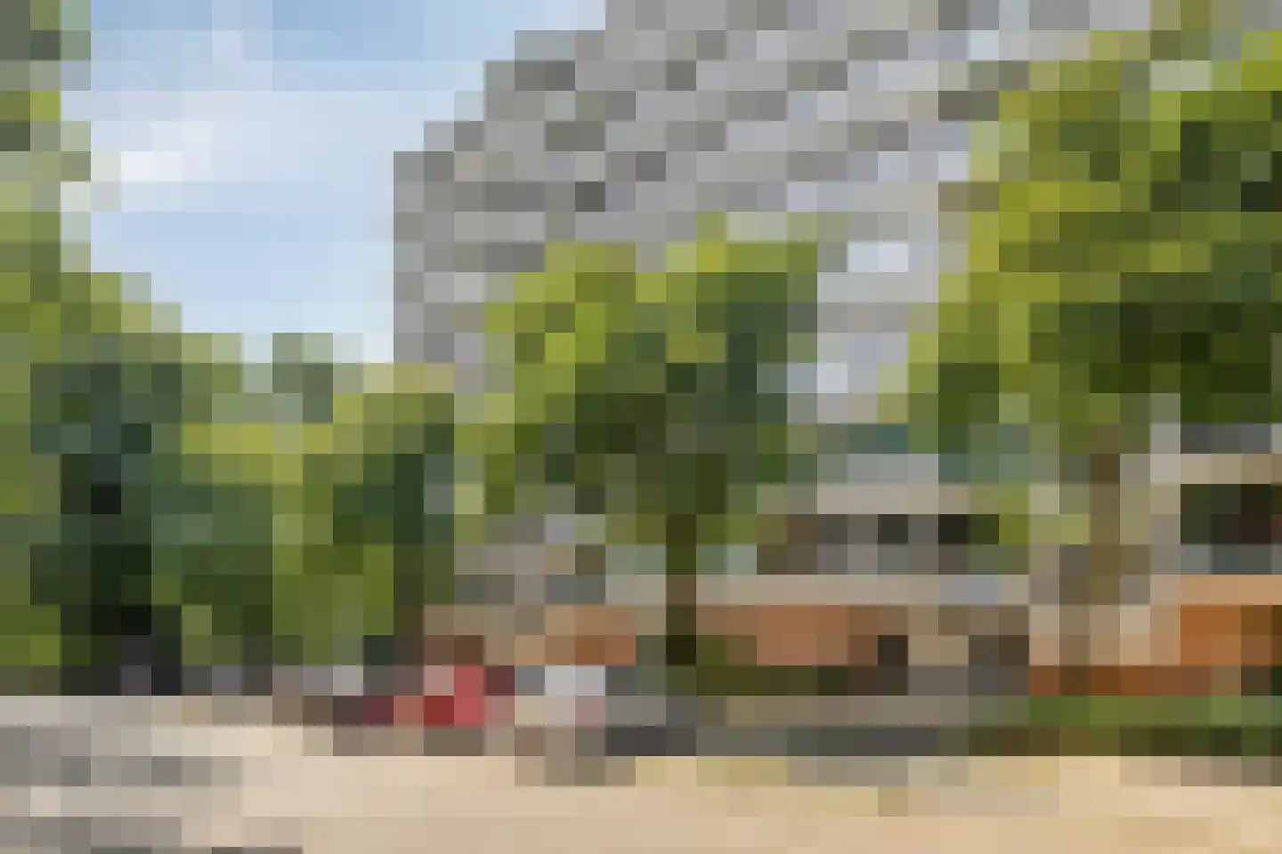 Kapelleboom 72 Doorwerth thumbnail 26
