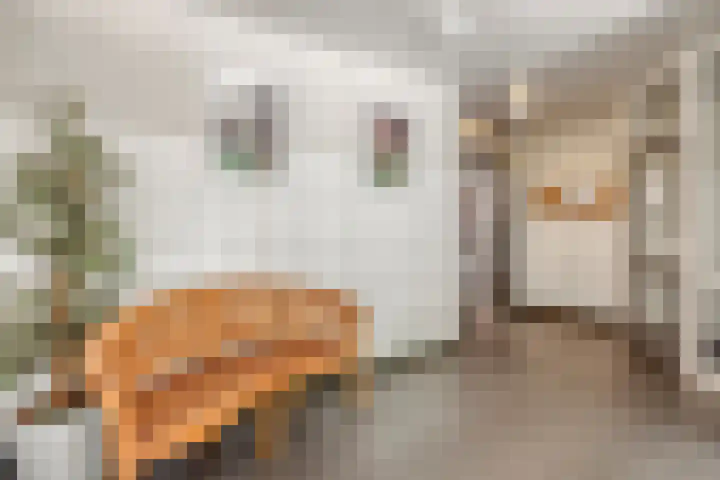Kapelleboom 72 Doorwerth thumbnail 27