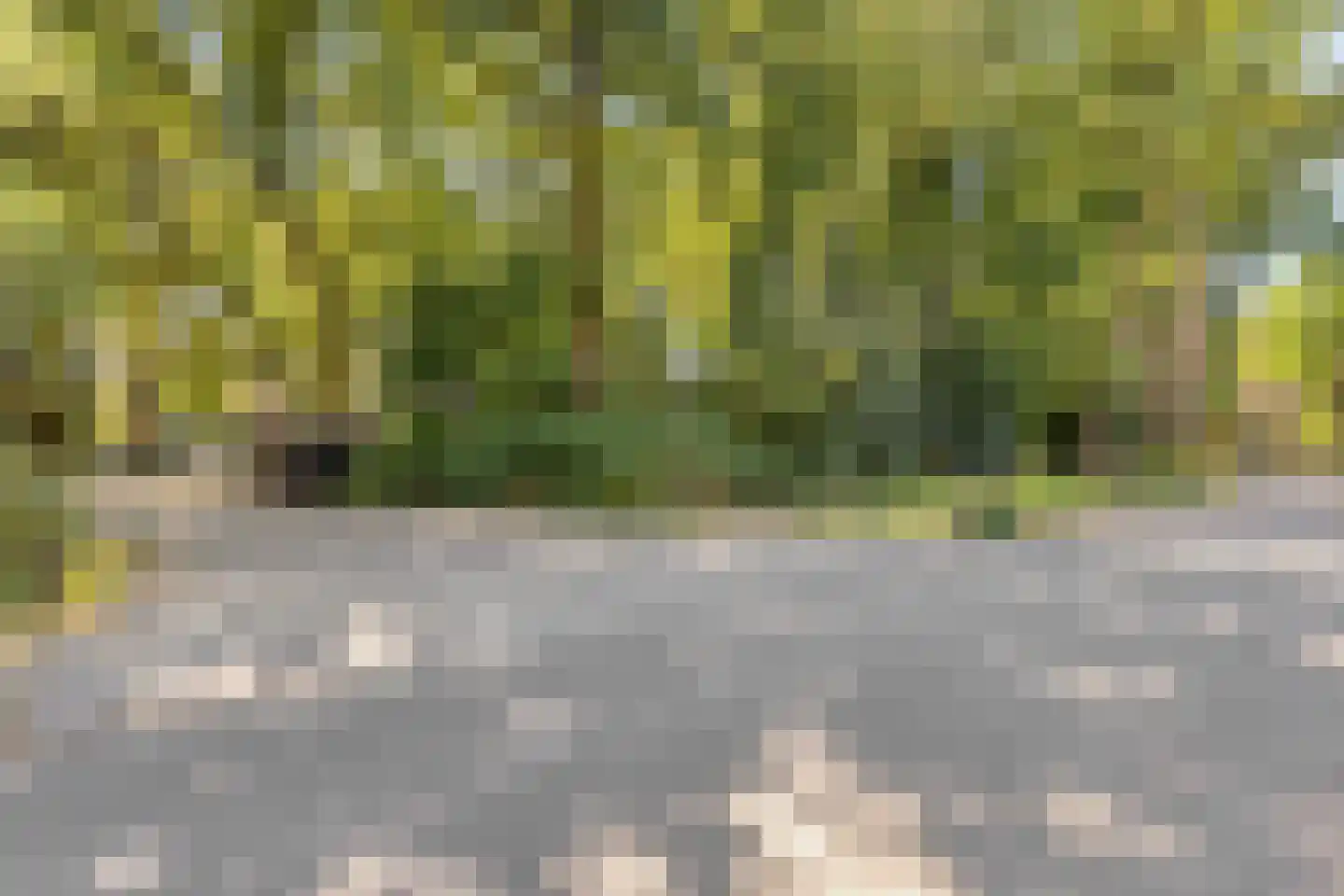 Kapelleboom 72 Doorwerth thumbnail 30