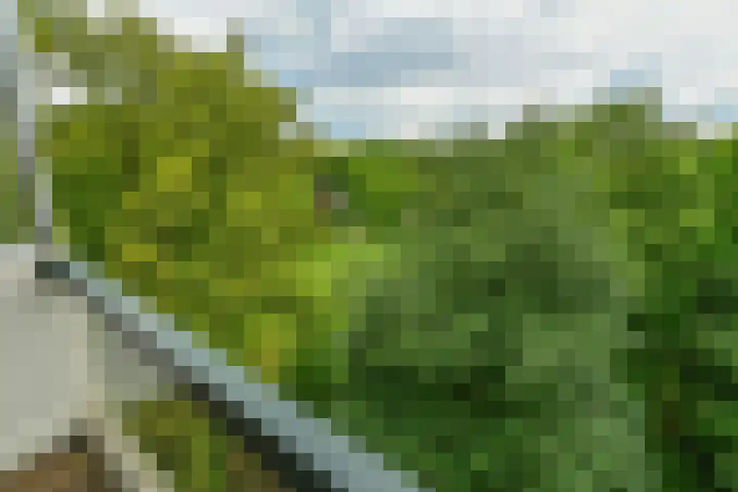 Kapelleboom 80 Doorwerth thumbnail 22