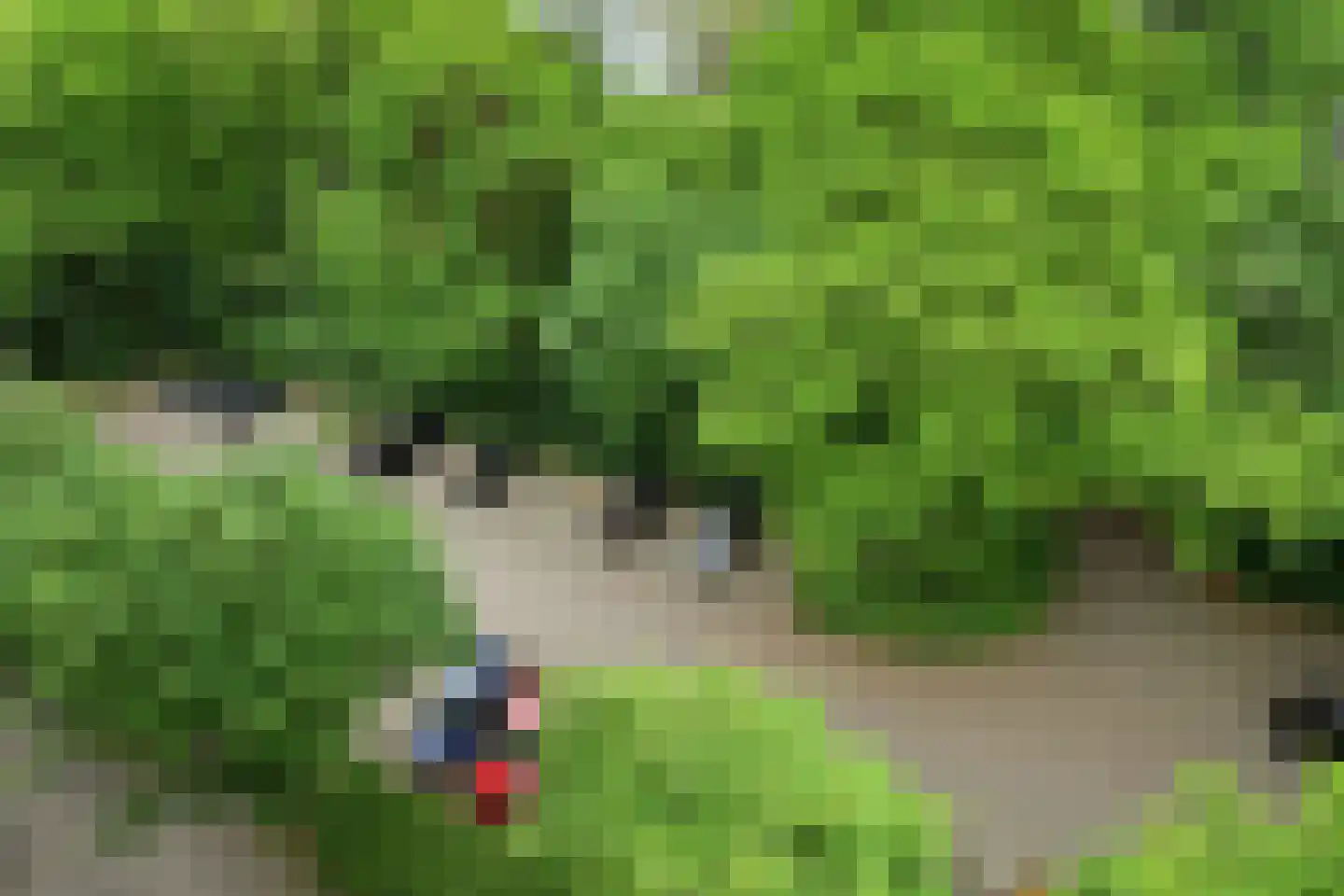 Kapelleboom 80 Doorwerth thumbnail 28
