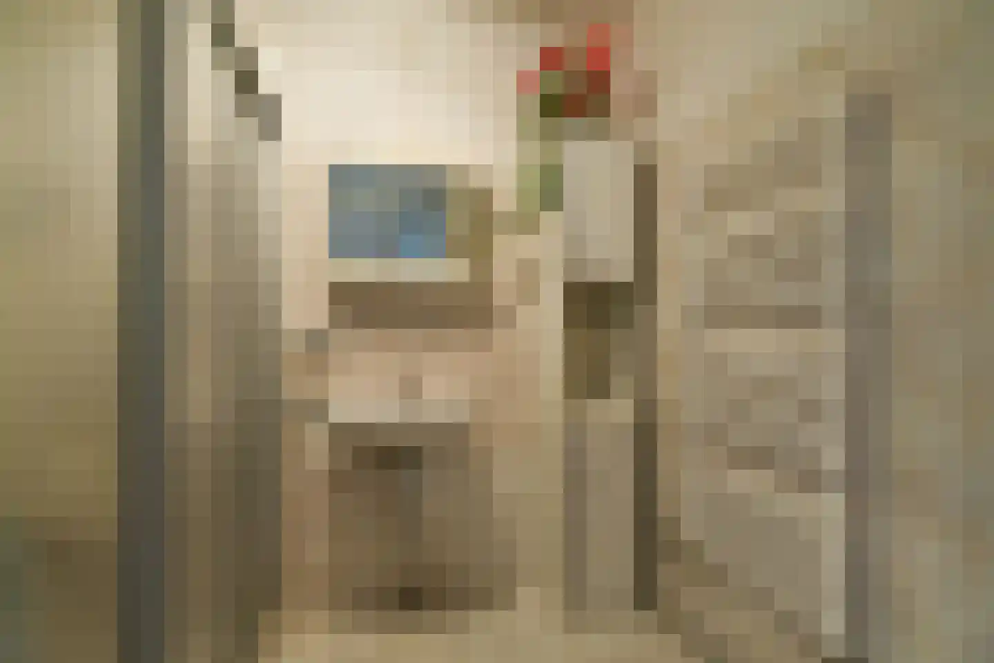 Kapelleboom 80 Doorwerth thumbnail 32