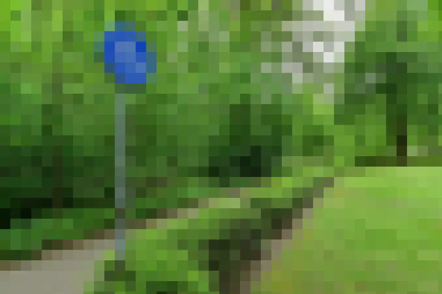 Kapelleboom 80 Doorwerth thumbnail 35