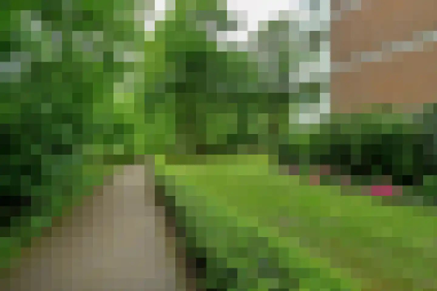 Kapelleboom 80 Doorwerth thumbnail 36