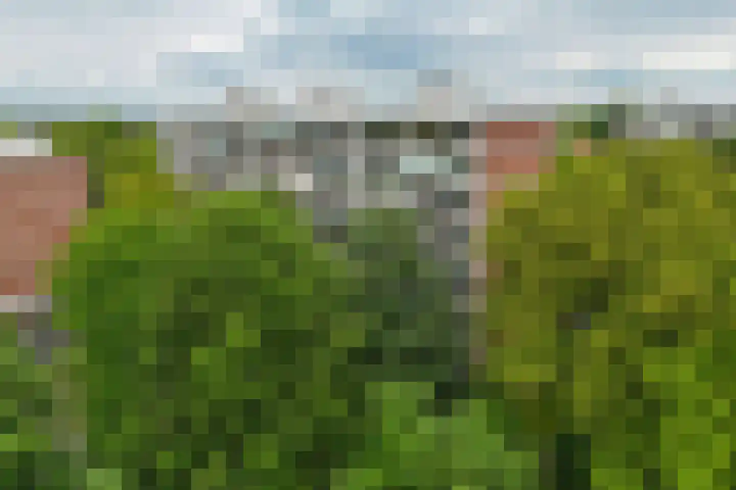 Kapelleboom 80 Doorwerth thumbnail 38