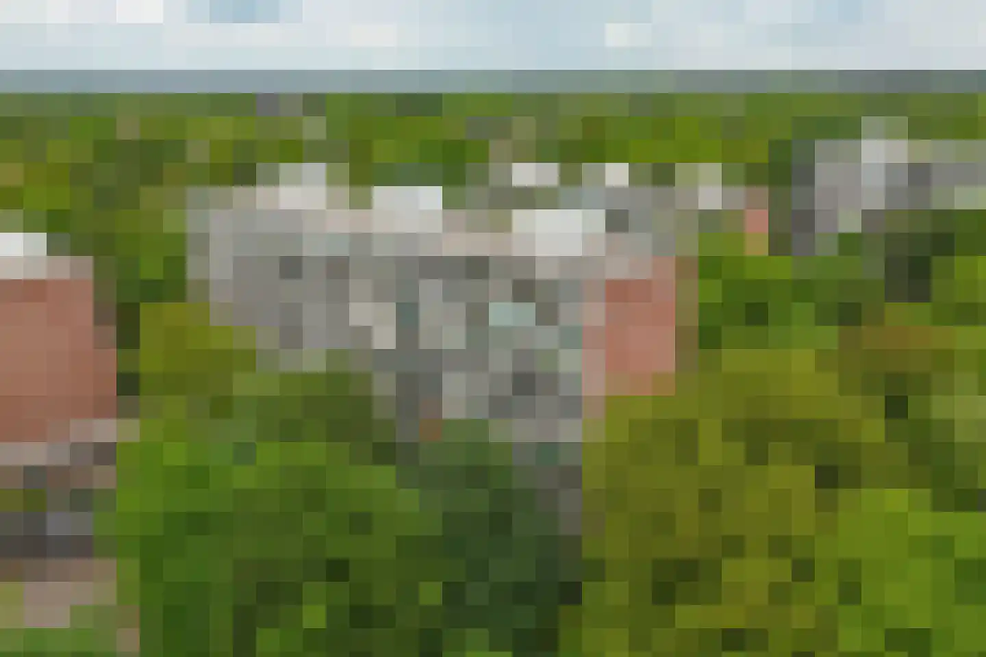 Kapelleboom 80 Doorwerth thumbnail 39
