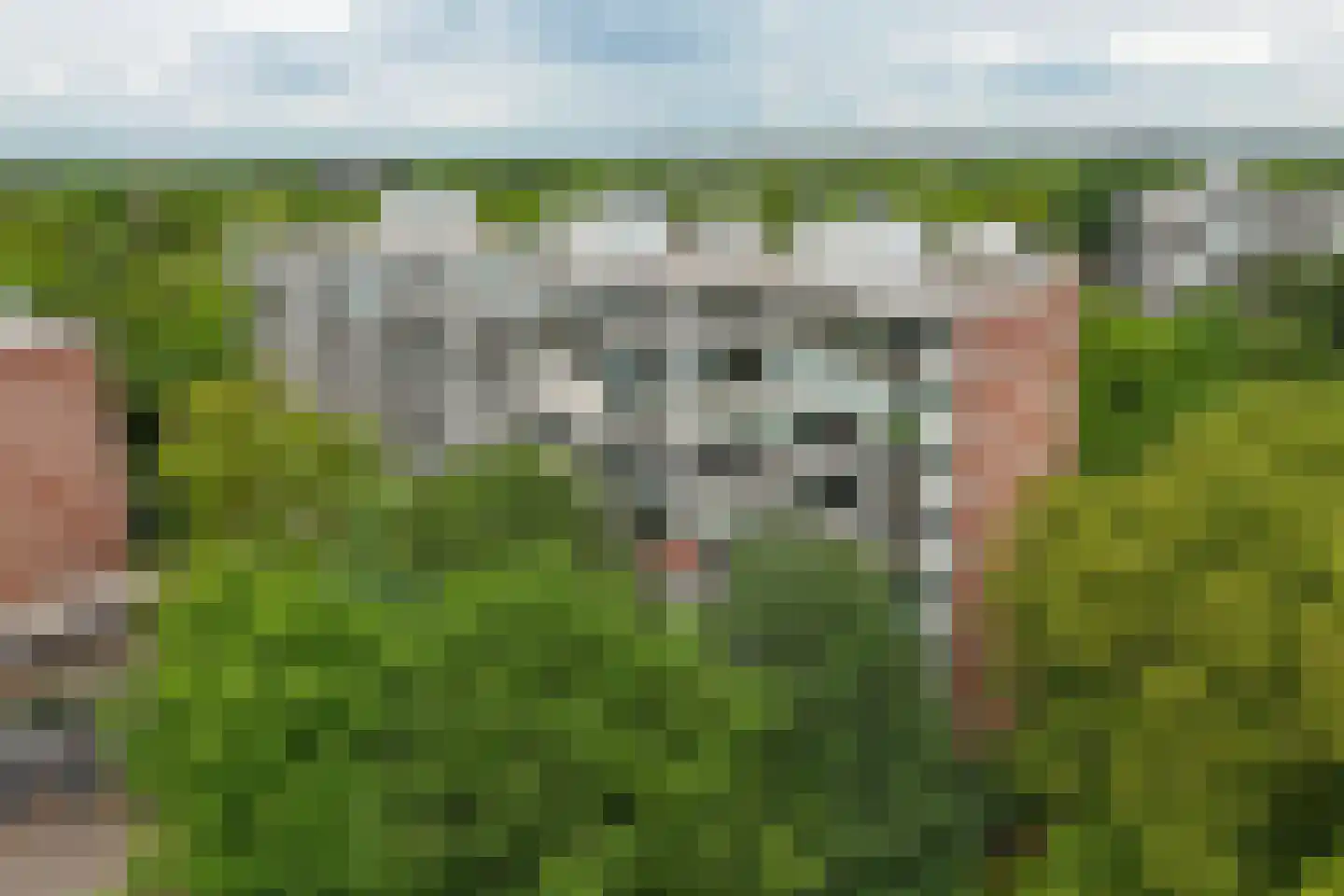 Kapelleboom 80 Doorwerth thumbnail 40