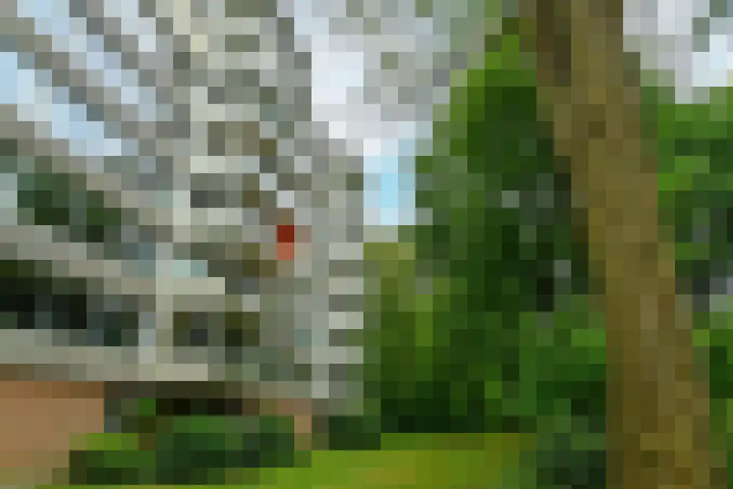Kapelleboom 80 Doorwerth thumbnail 41