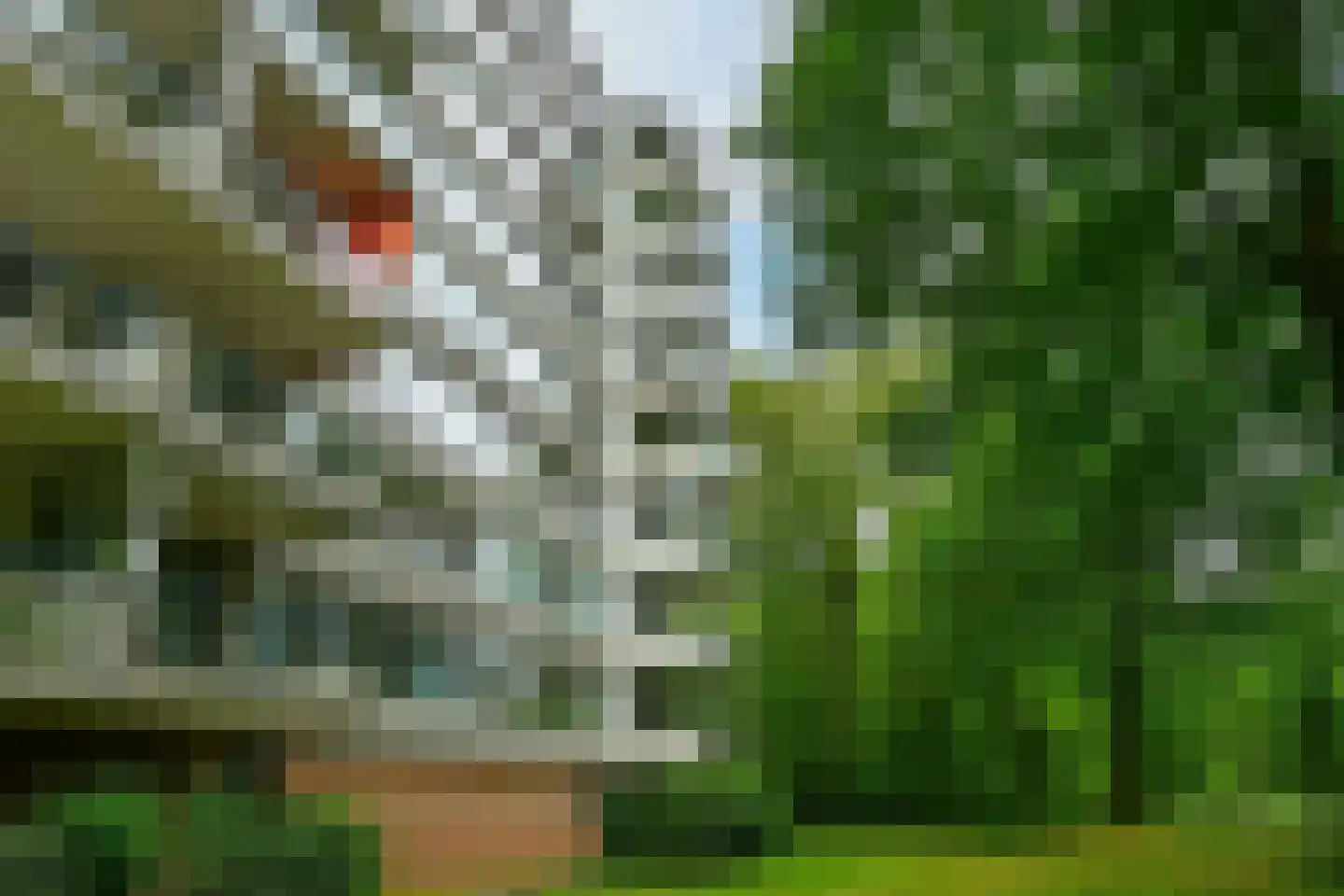 Kapelleboom 80 Doorwerth thumbnail 42