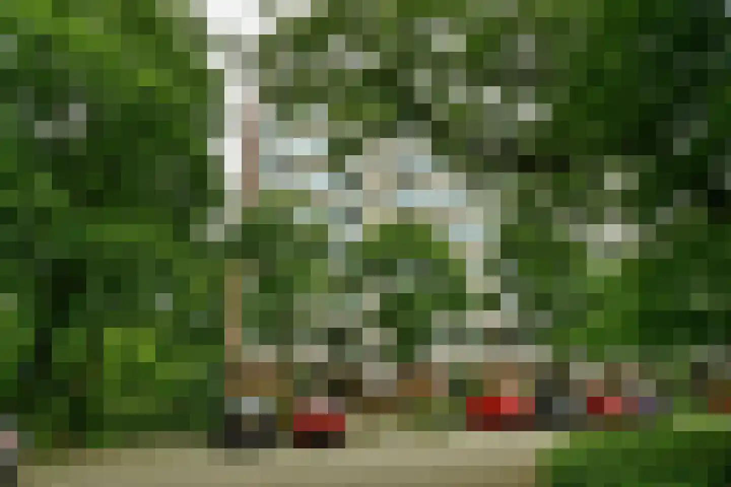 Kapelleboom 80 Doorwerth thumbnail 43