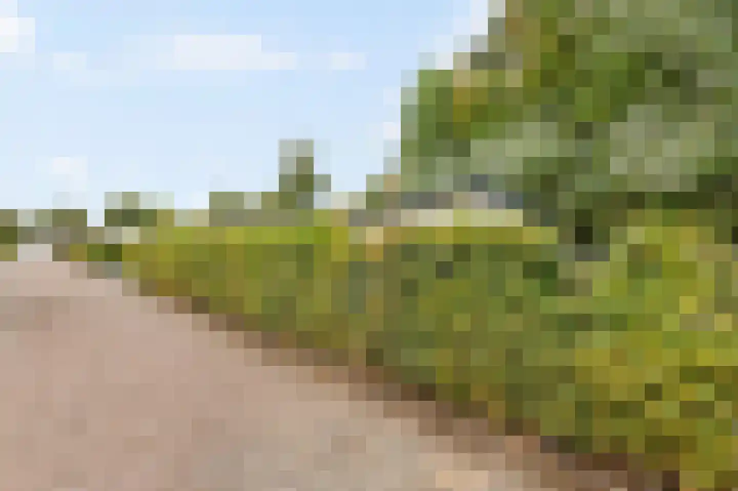 Kapelleboslaan 115 Noordwijk thumbnail 20