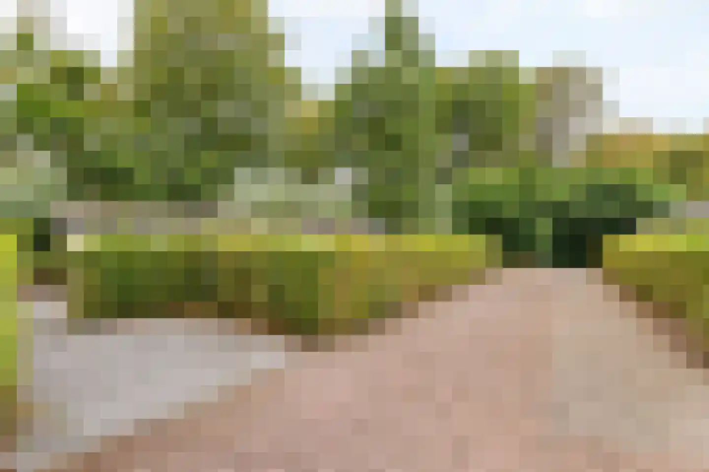 Kapelleboslaan 115 Noordwijk thumbnail 21