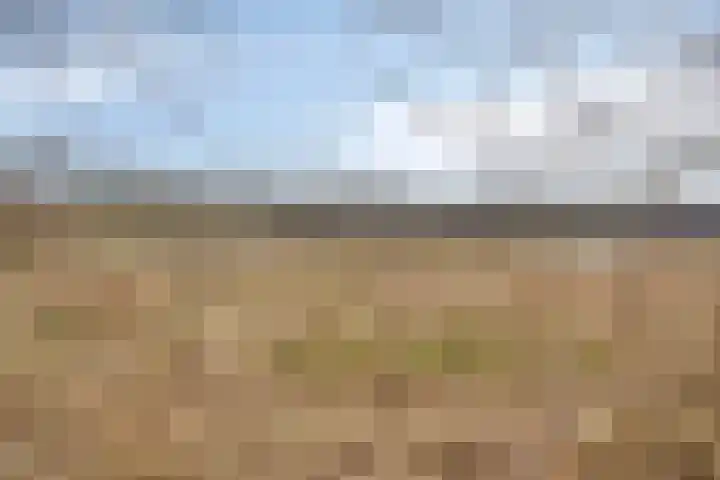 Kapelleboslaan 121 Noordwijk thumbnail 22