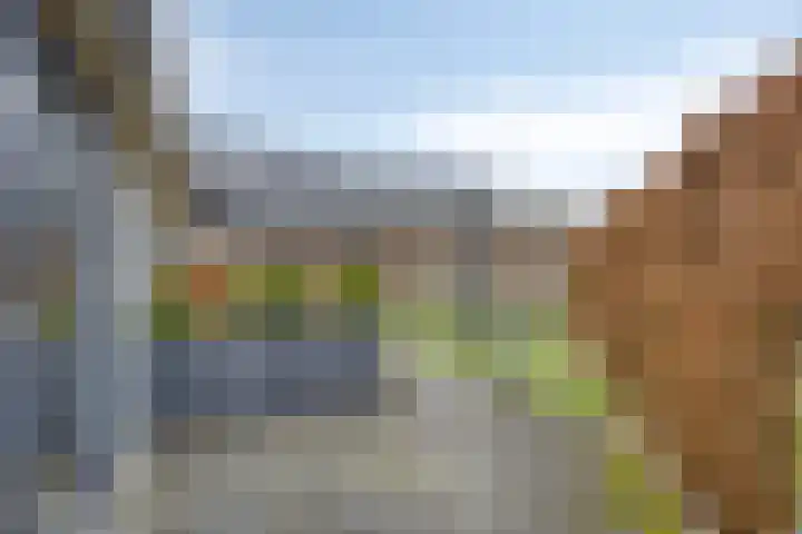 Kapelleboslaan 121 Noordwijk thumbnail 7