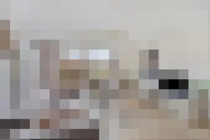 Kapelleboslaan 121 Noordwijk thumbnail 9