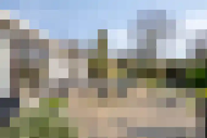 Kapelleboslaan 163 Noordwijk thumbnail 23