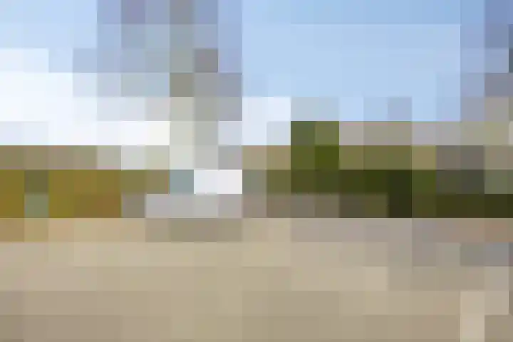 Kapelleboslaan 163 Noordwijk thumbnail 32