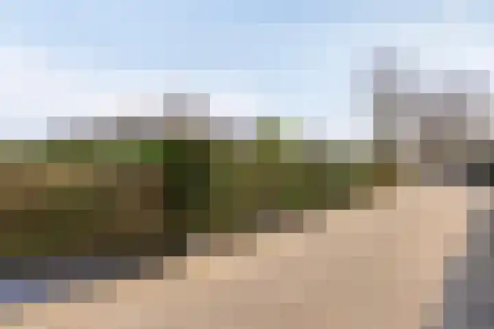 Kapelleboslaan 163 Noordwijk thumbnail 35
