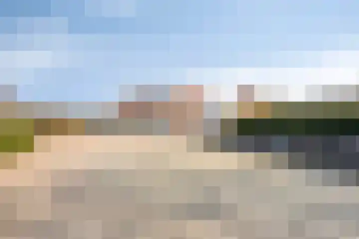 Kapelleboslaan 163 Noordwijk thumbnail 40